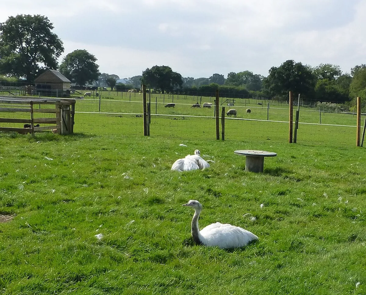 Northumberland Zoo