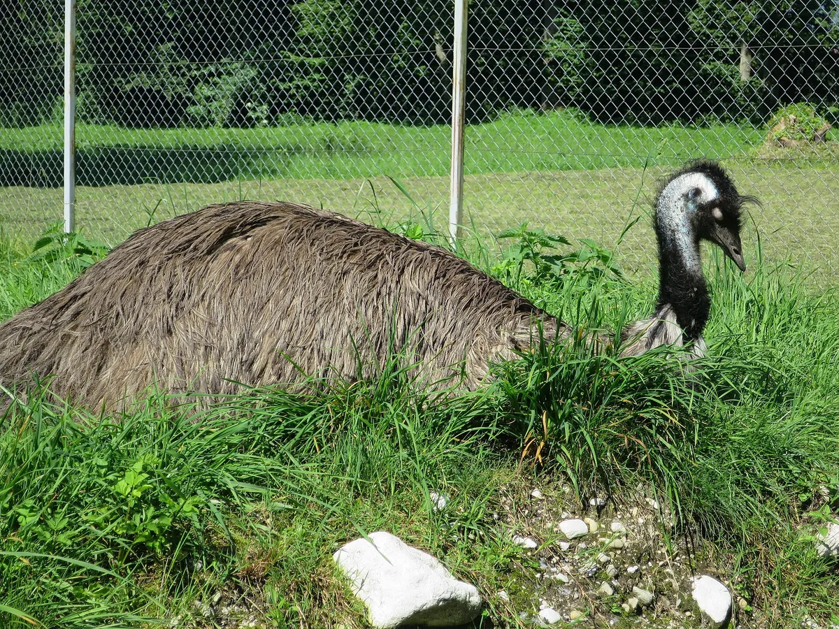 Raritätenzoo Ebbs