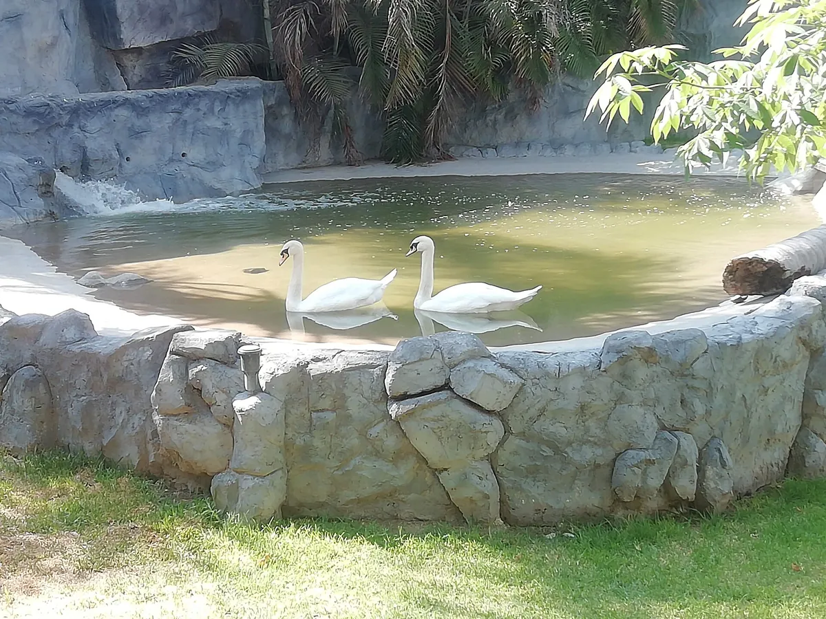 Zoológico Guadalajara