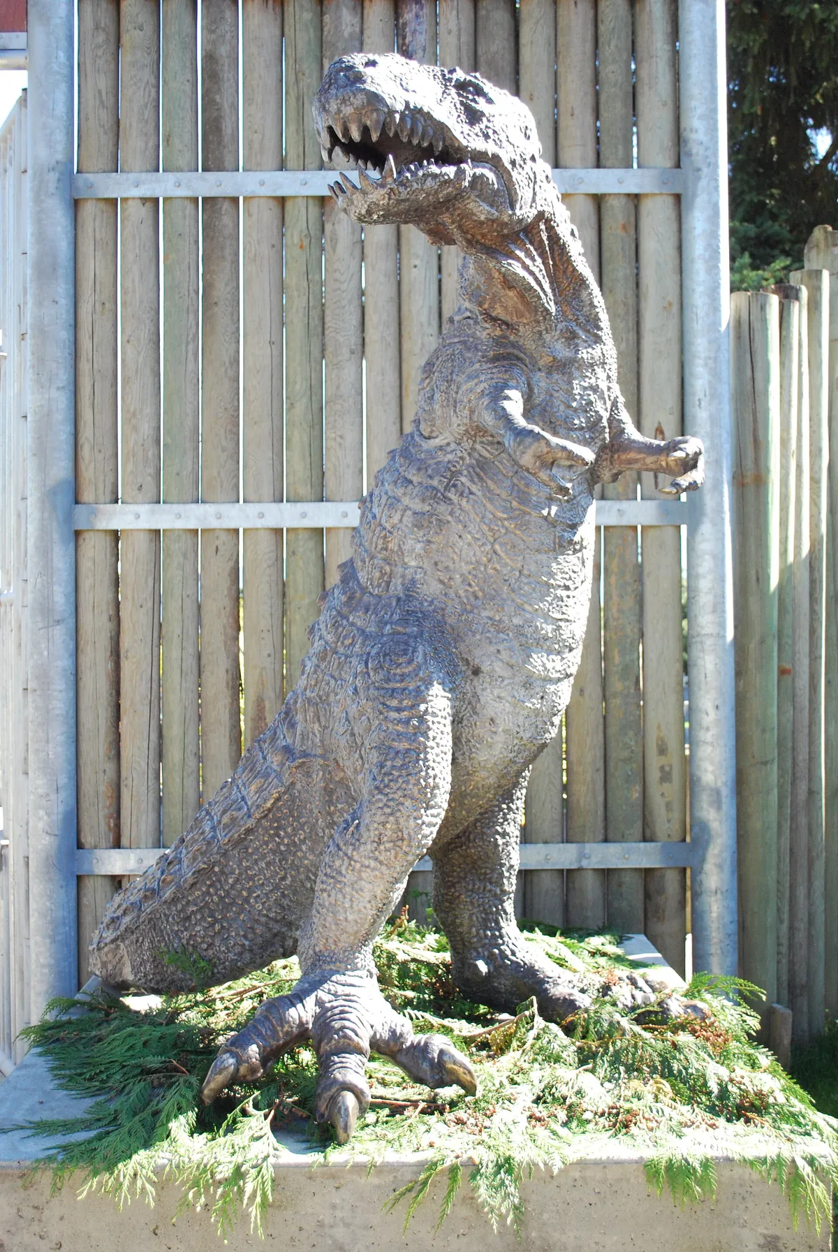 Cougar Mountain Zoo