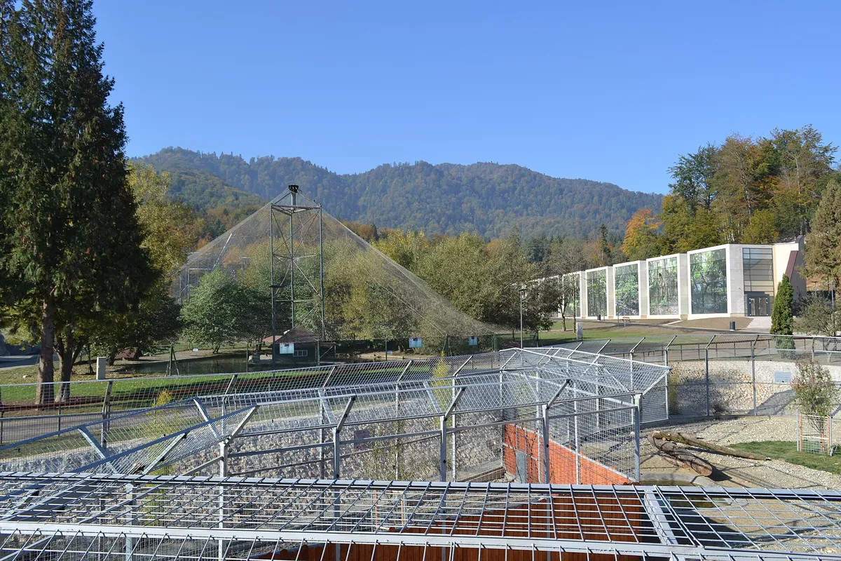 Brașov Zoo