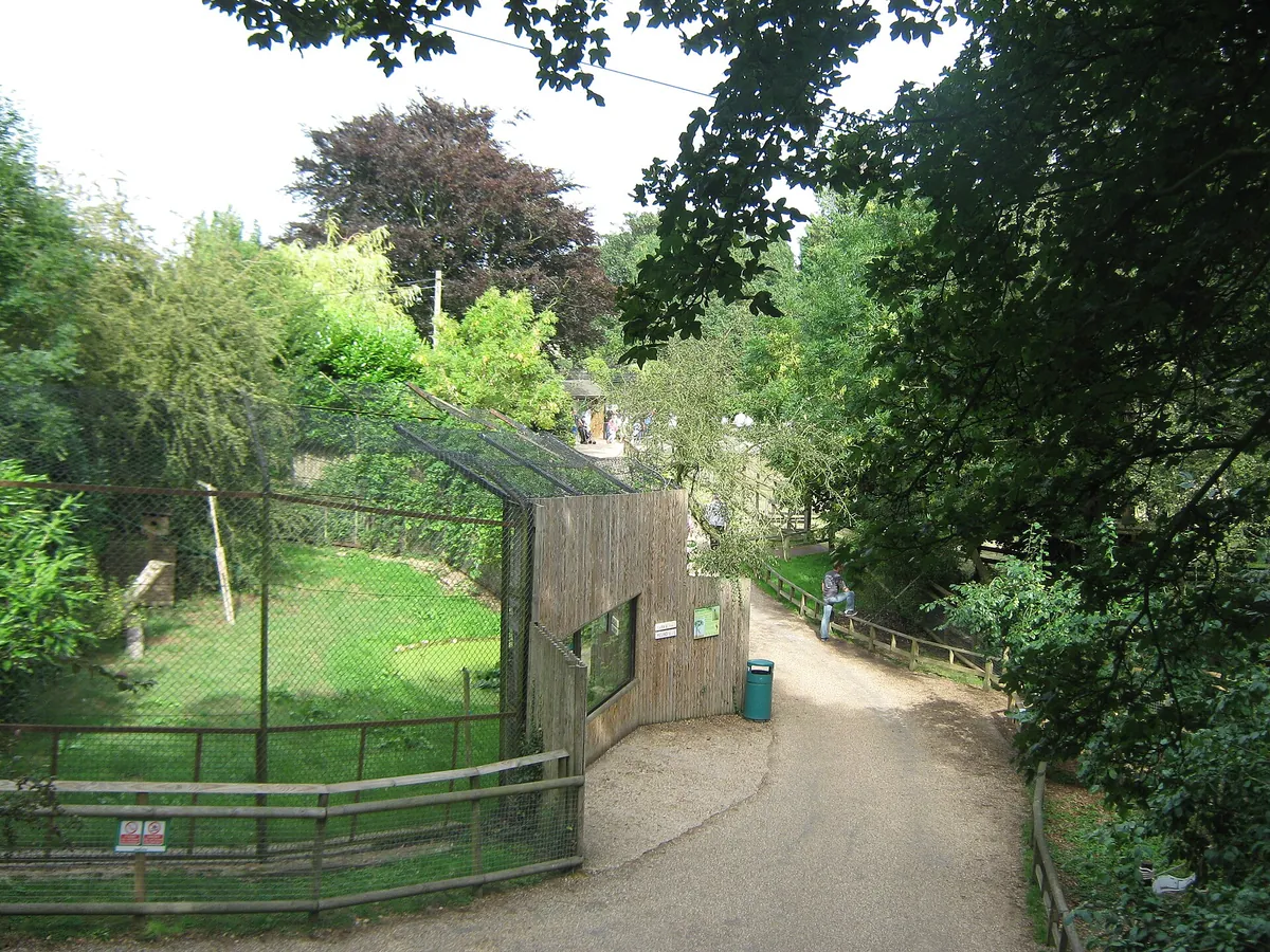 Howletts Wild Animal Park