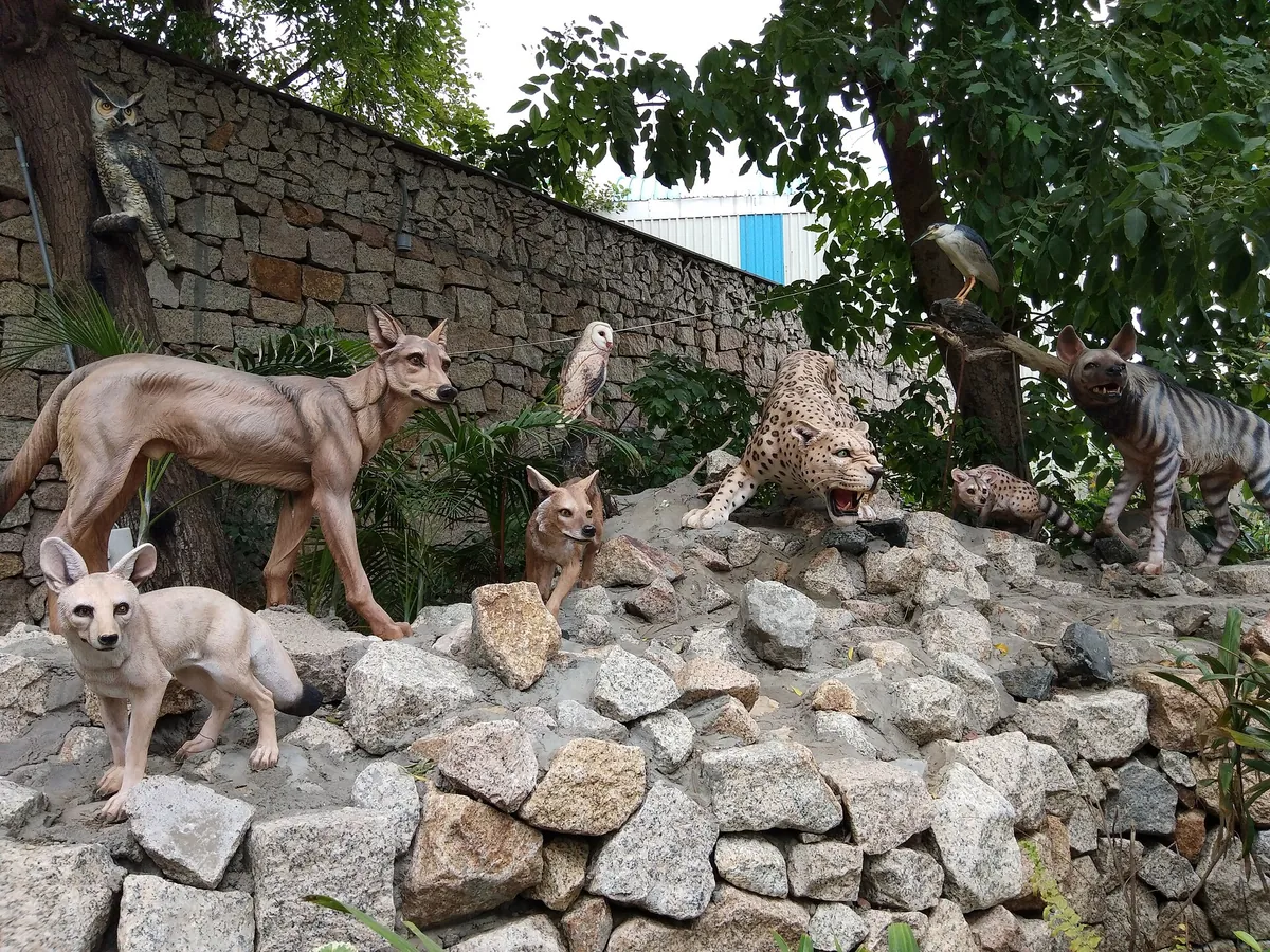 Kamla Nehru Zoological Garden