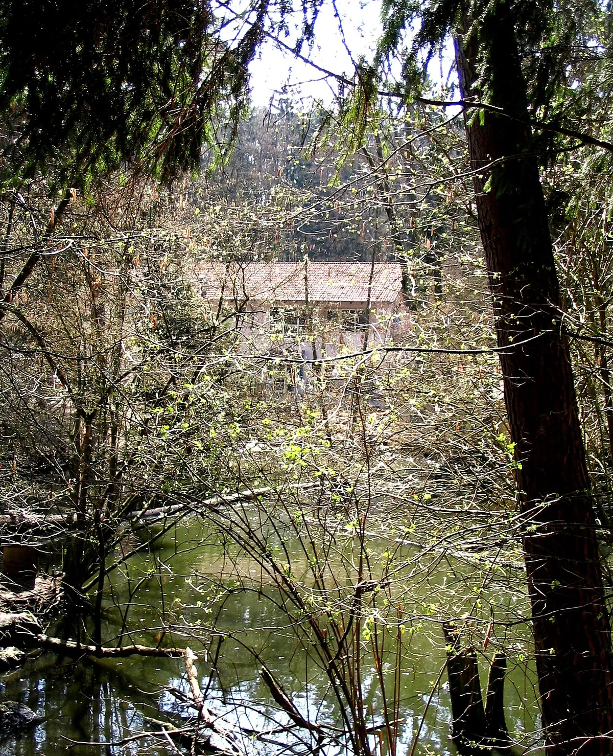 Vogelpark Abensberg