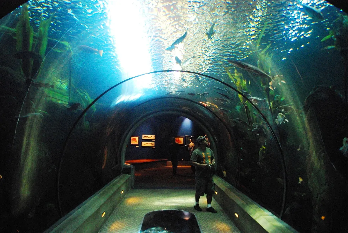 Oregon Coast Aquarium