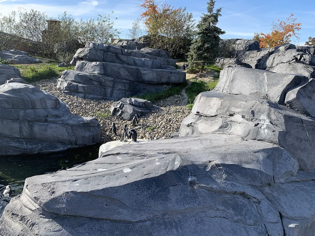 Wildlands