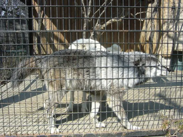 Hamura Zoo