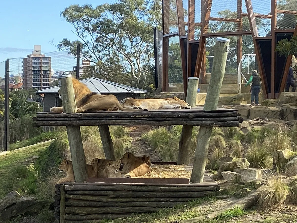 Taronga Zoo