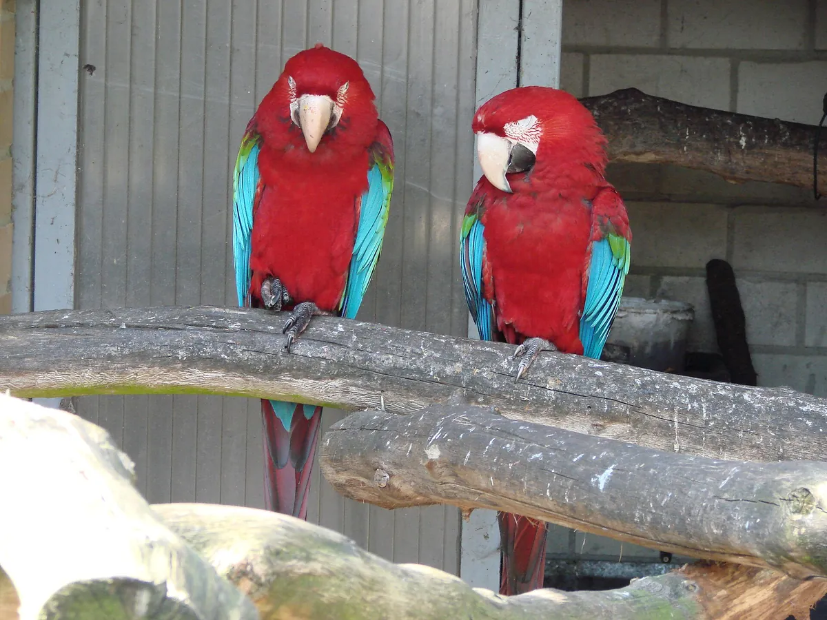 Tier- und Freizeitpark Thüle