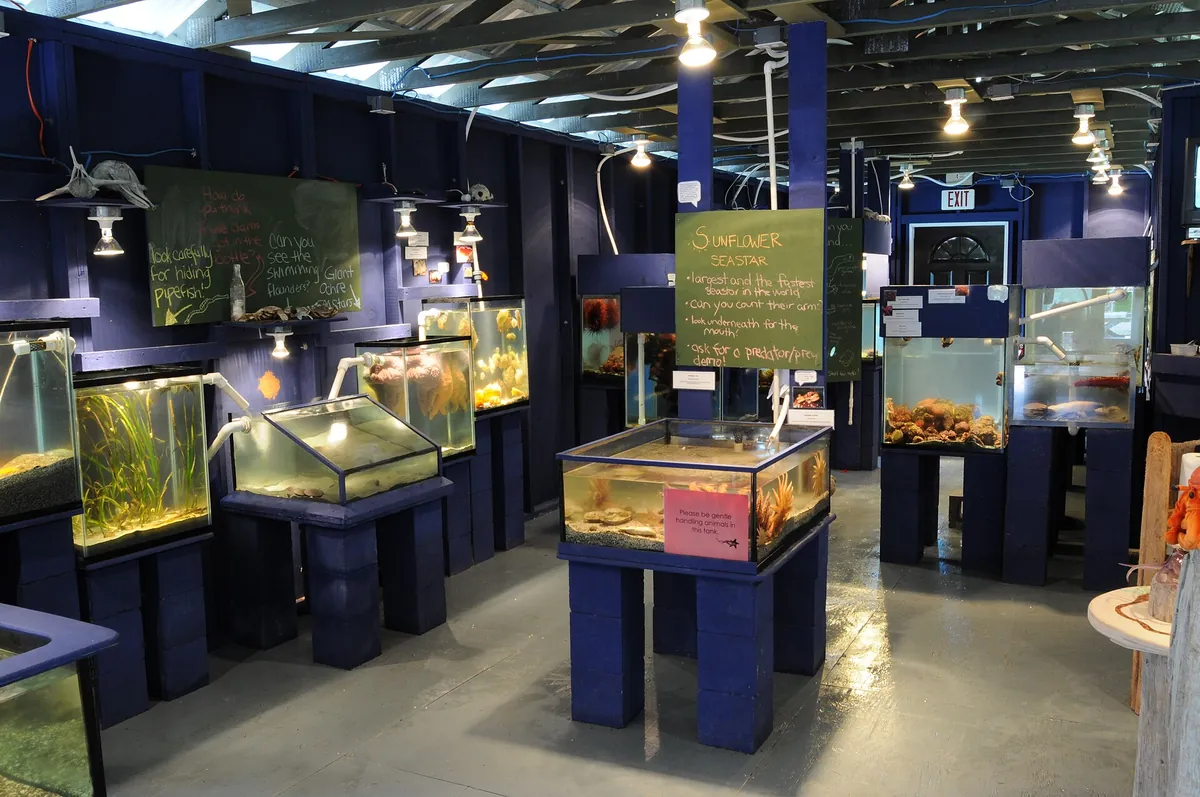 Ucluelet Aquarium