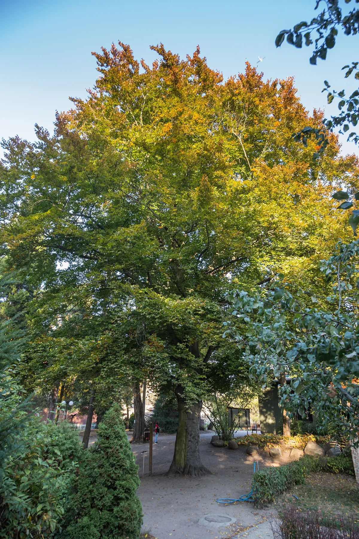 Toruń Zoobotanical Garden