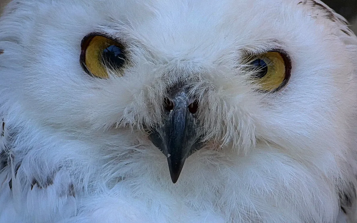 Tierpark Herborn