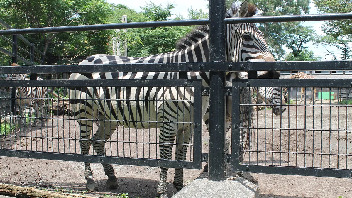 Hamura Zoo
