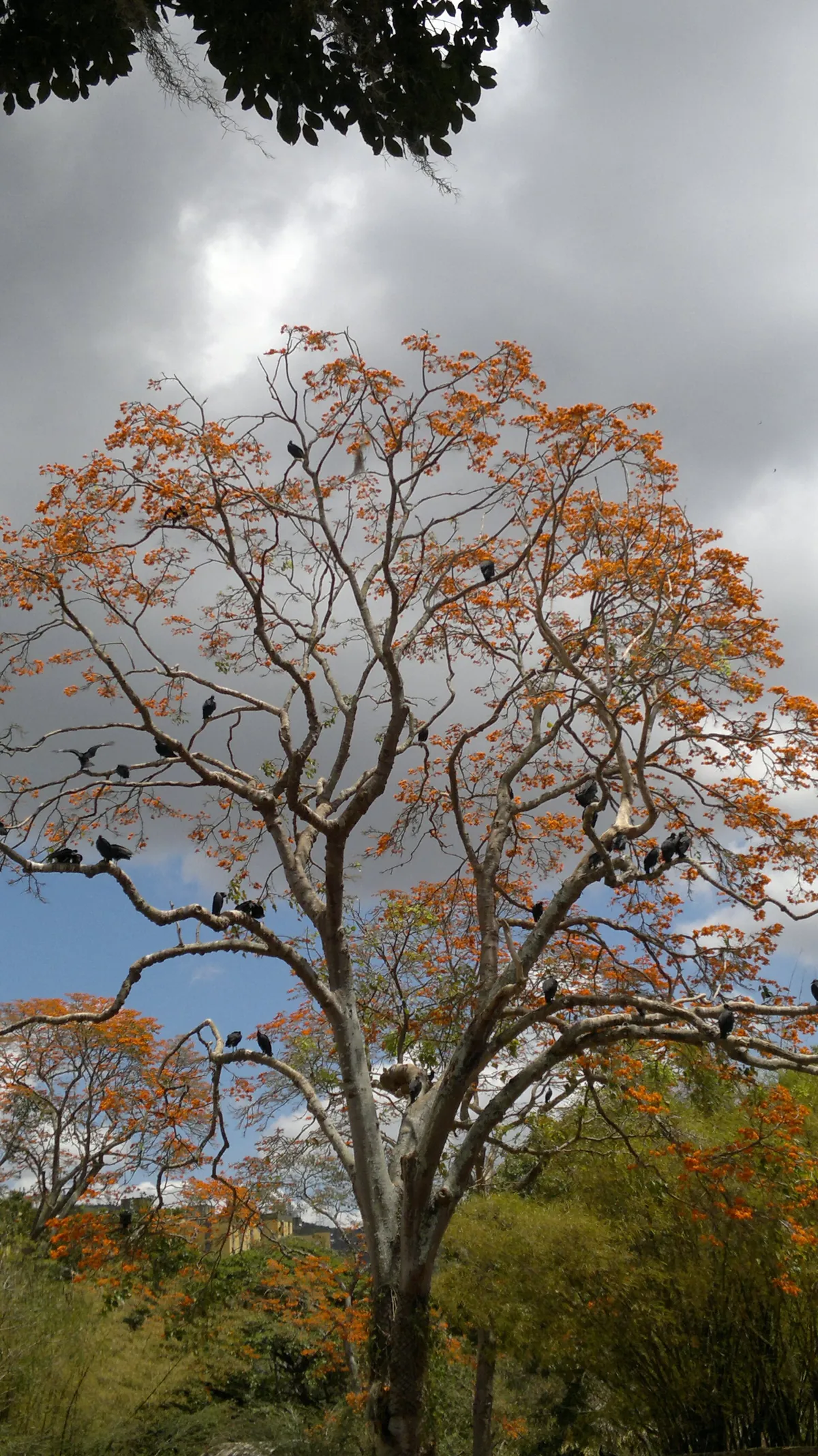 Parque Zoológico Caricuao