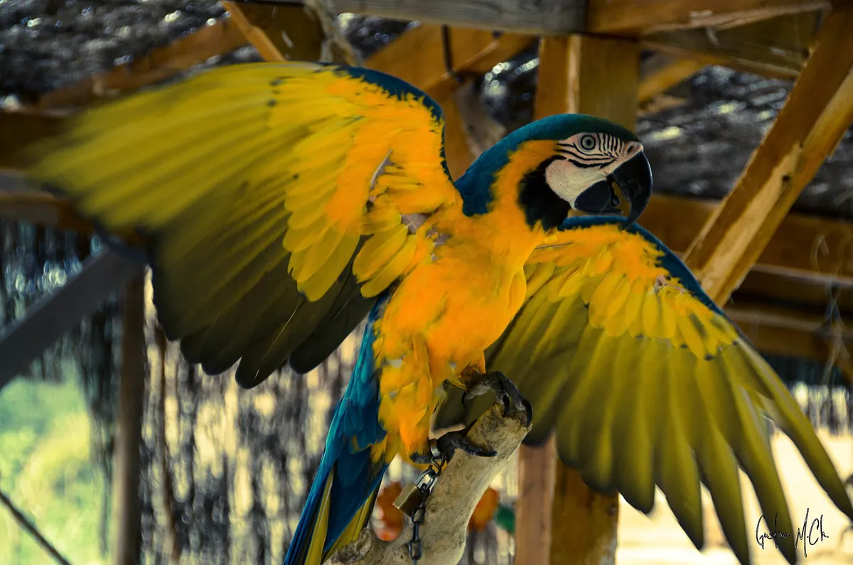 Terra Natura Benidorm