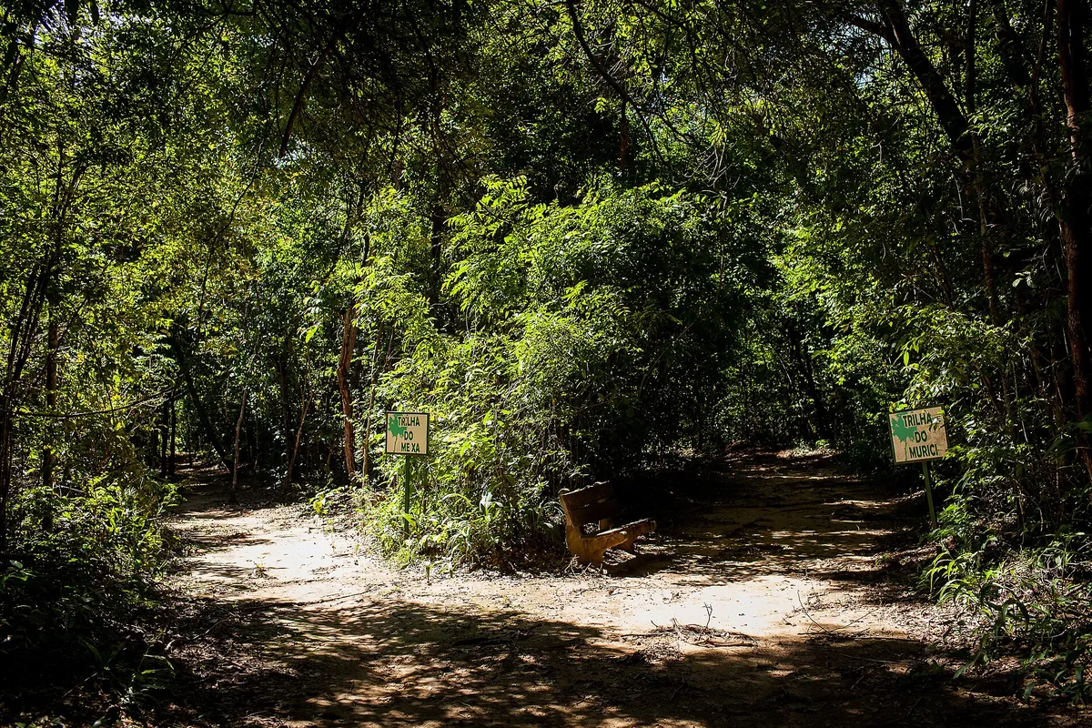 Parque Zoobotânico de Teresina