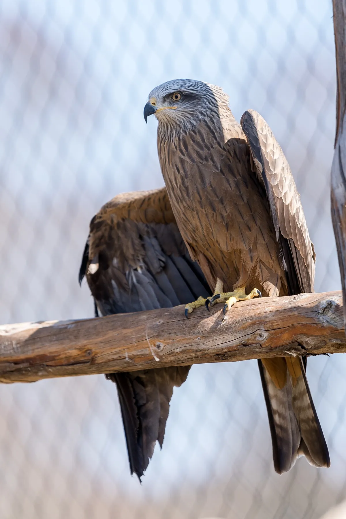 Zoo La Garenne