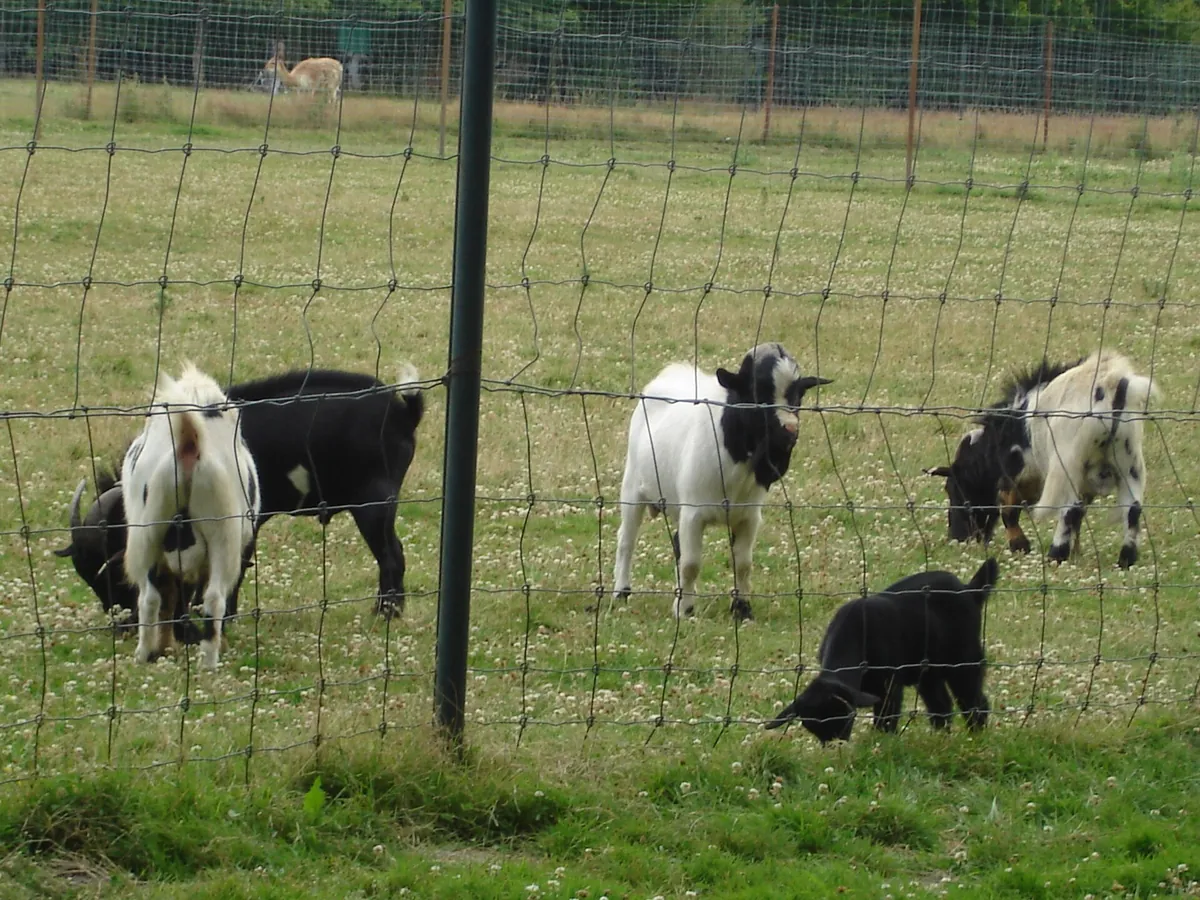 Haute Touche Zoological Park