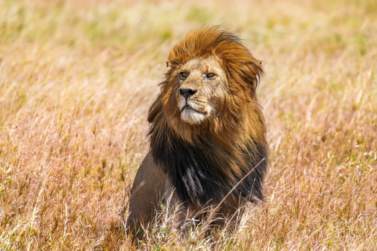 Abruzzo Zoo