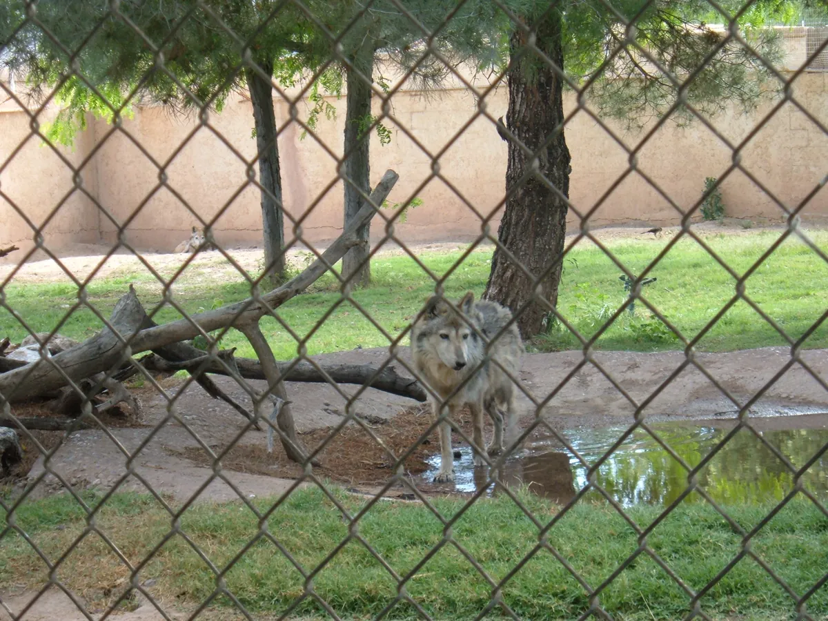 Alameda Park Zoo