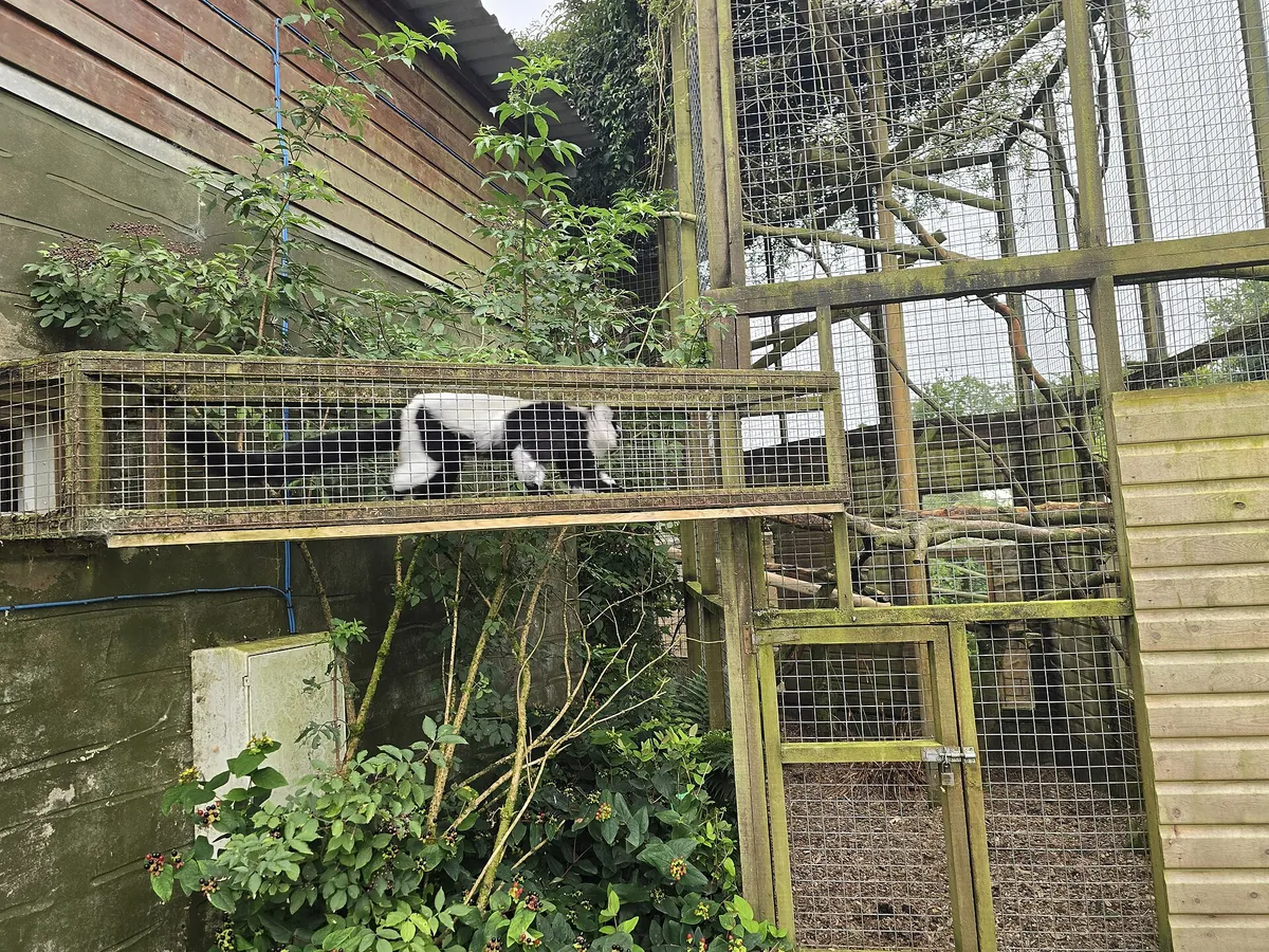 Exmoor Zoological Park