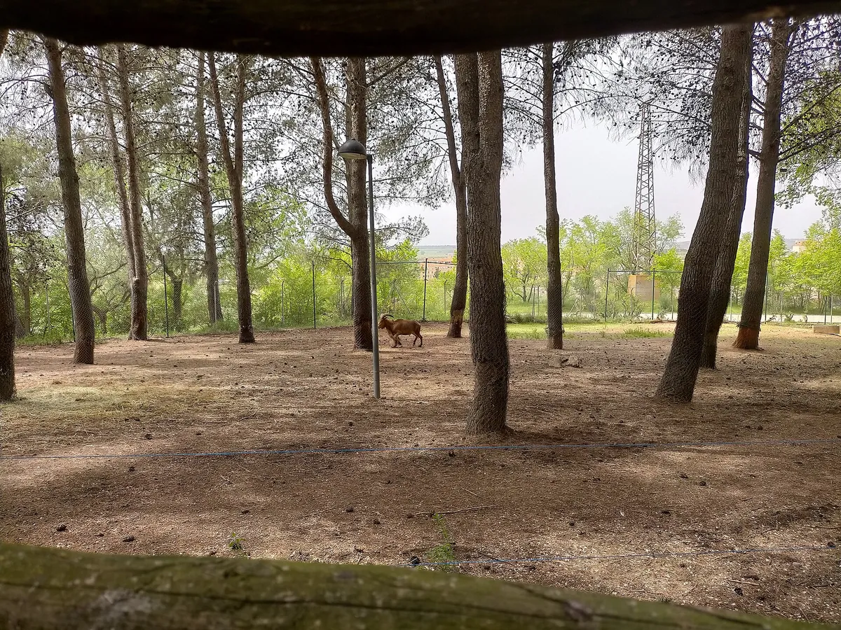PARQUE ZOOLÓGICO DE GUADALAJARA