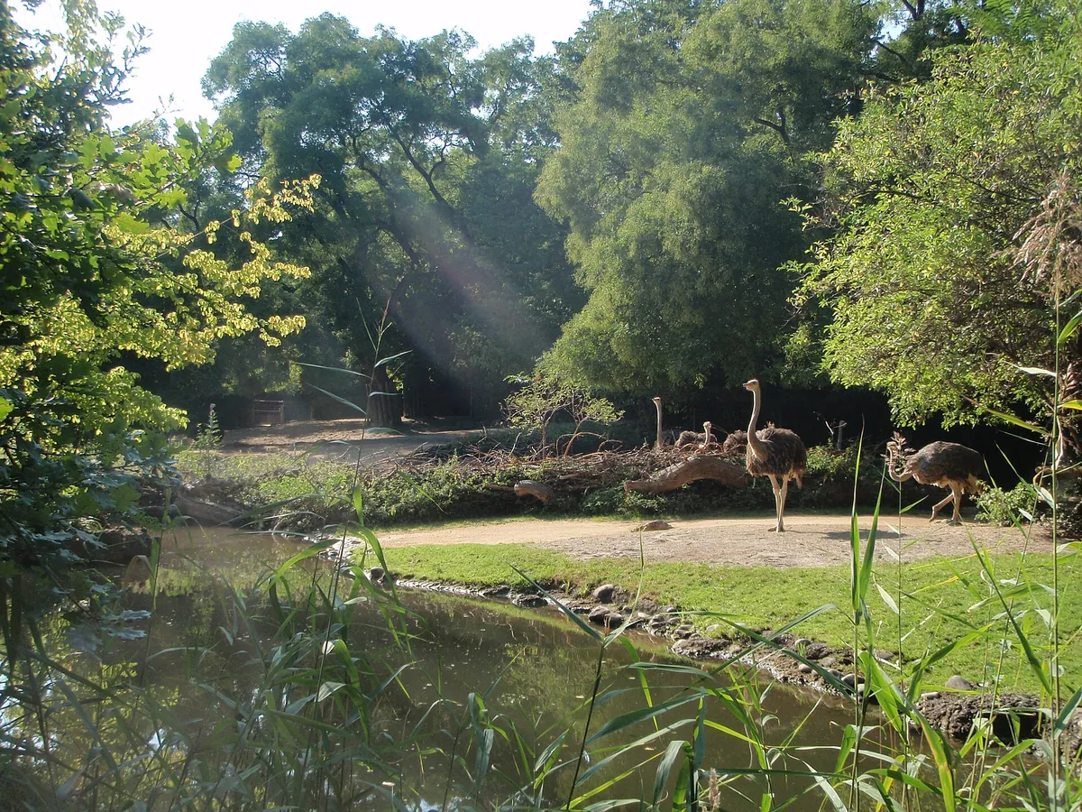 Zoologischer Garten Basel AG