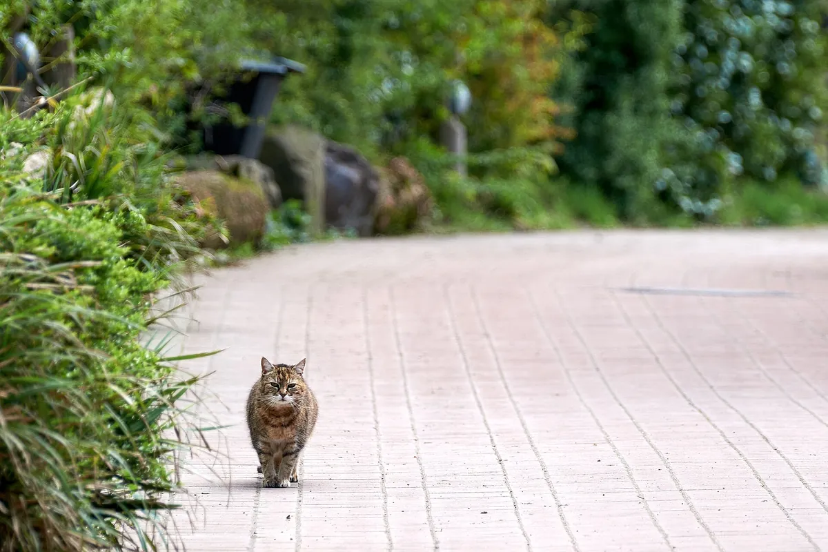 Zoo Duisburg