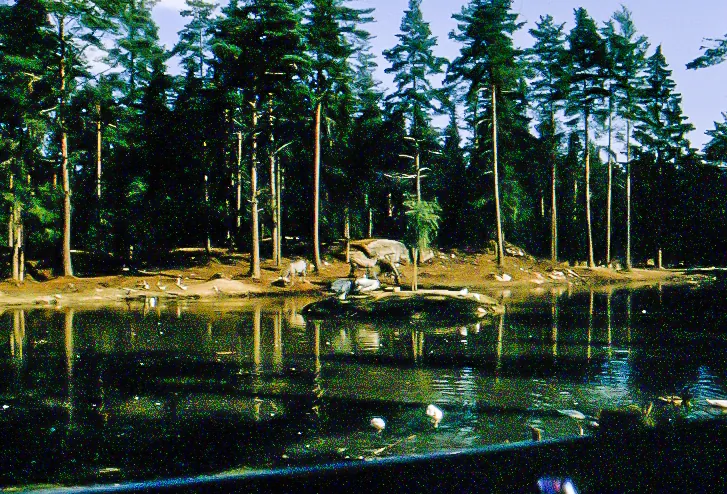 Kolmårdens Djurpark