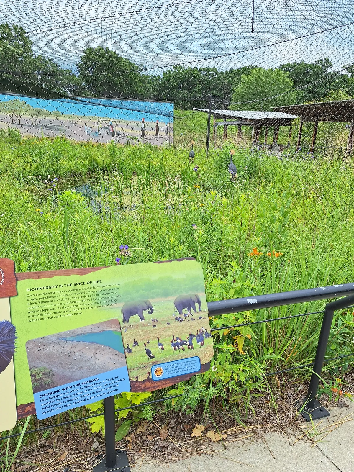 International Crane Foundation