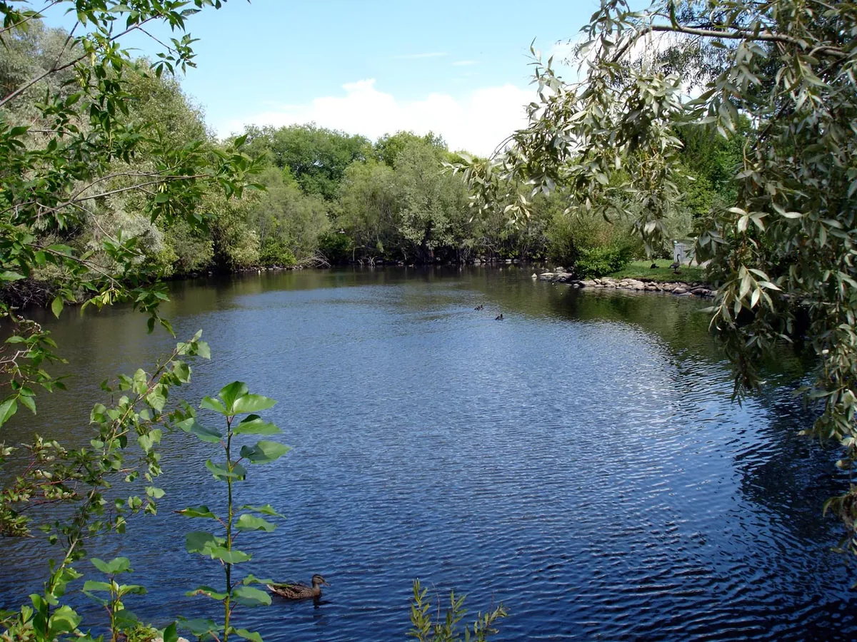 Forestry Farm Park and Zoo
