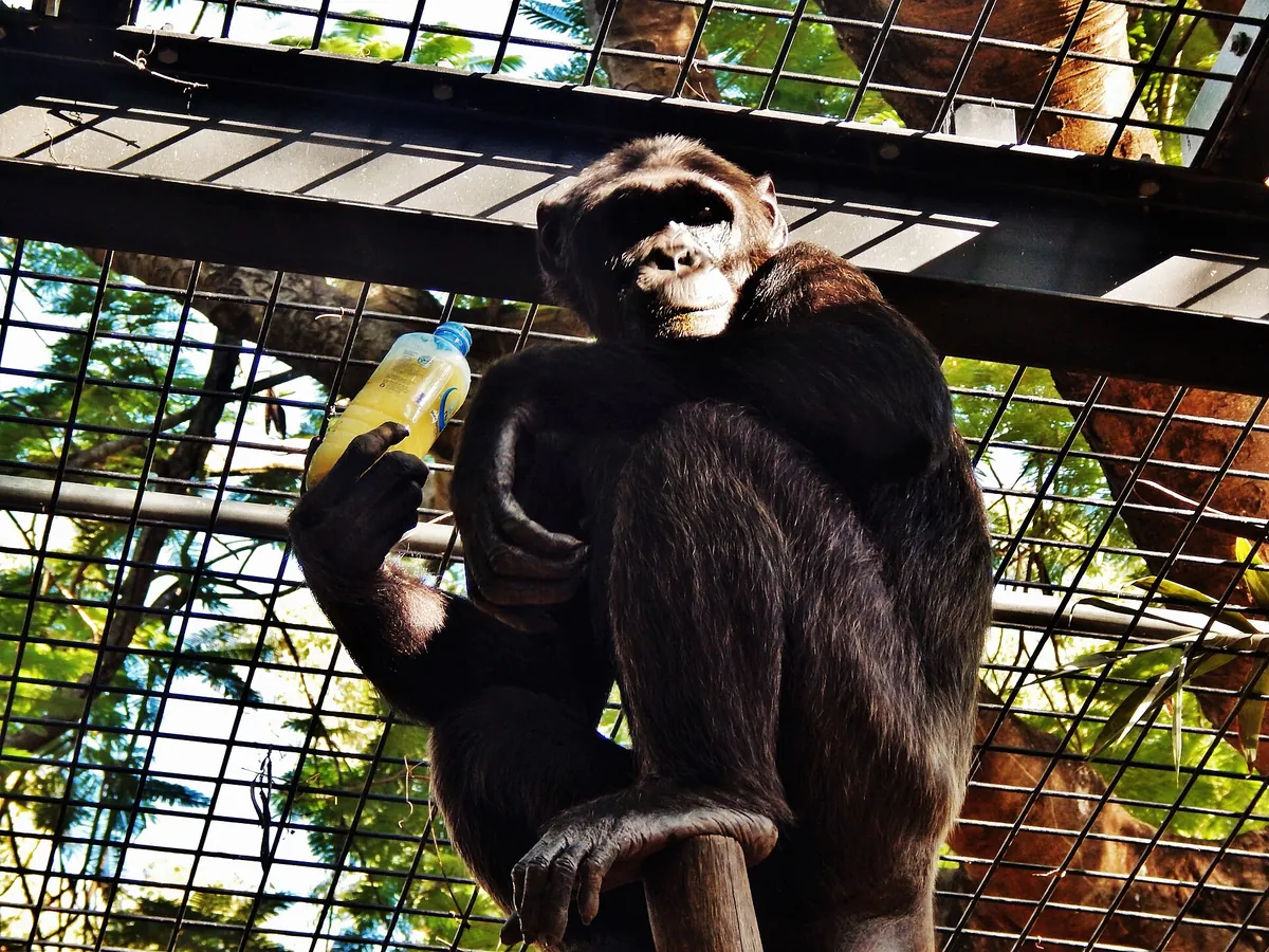 Rockhampton Zoo
