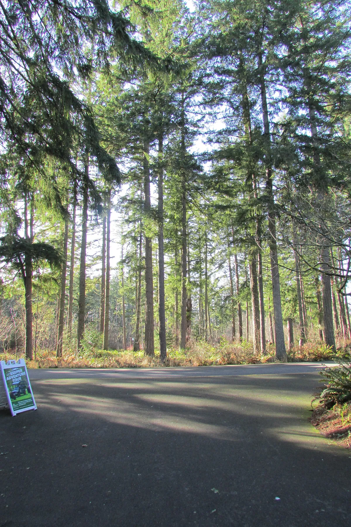 Northwest Trek Wildlife Park