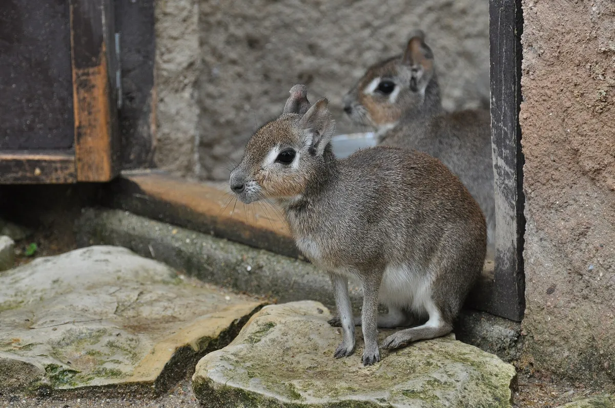Zoopark Zájezd