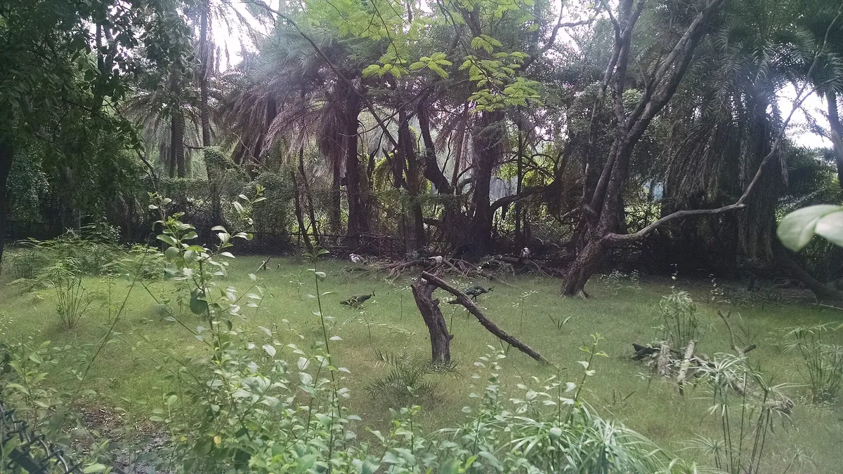 Nehru Zoological Park