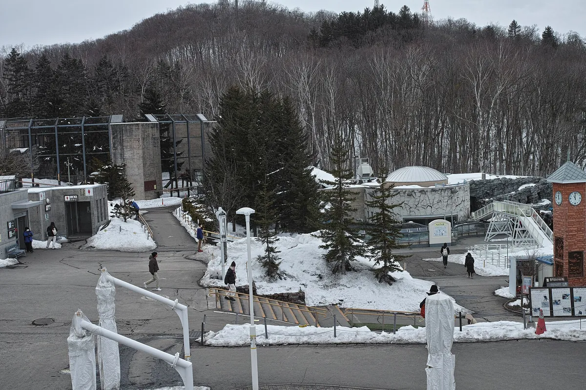 Asahiyama Zoo