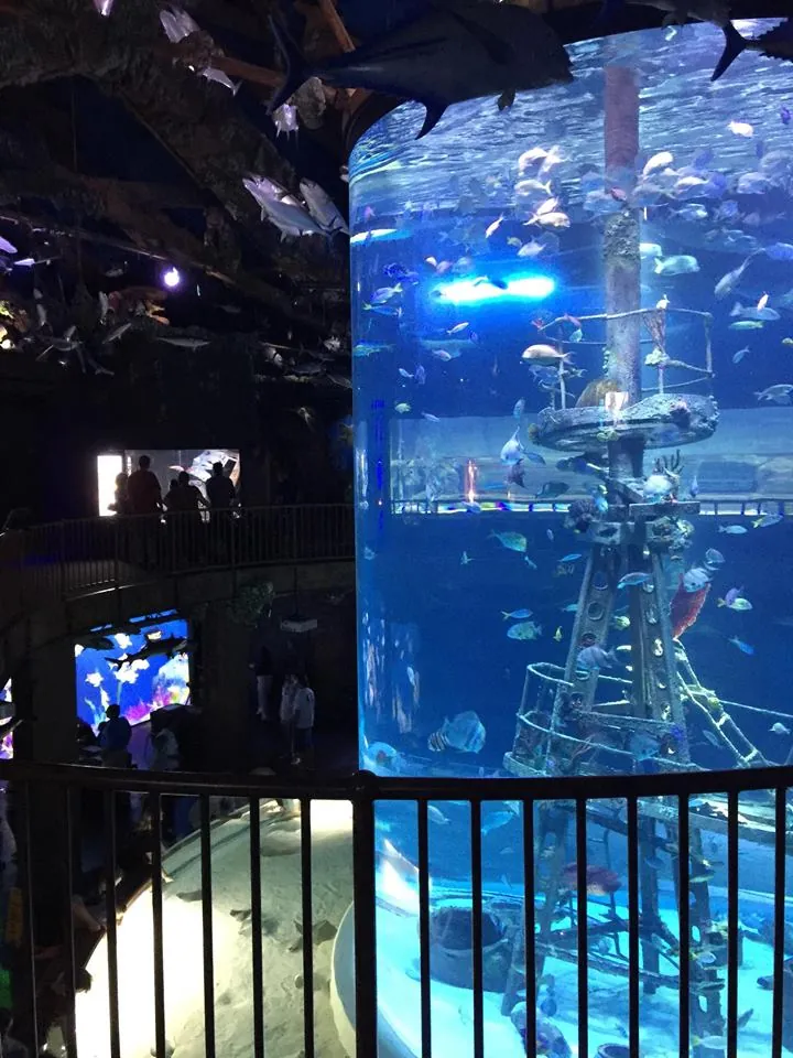 Johnny Morris' Wonders of Wildlife National Museum & Aquarium