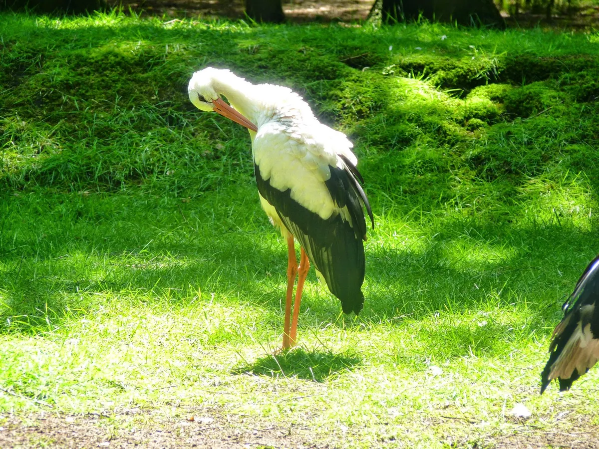 Tier- und Freizeitpark Thüle
