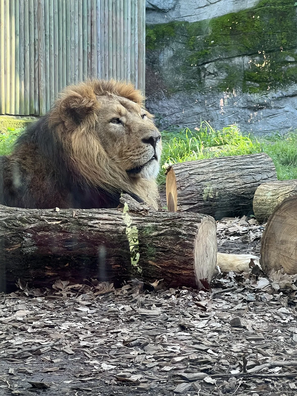 Fondazione Bioparco di Roma