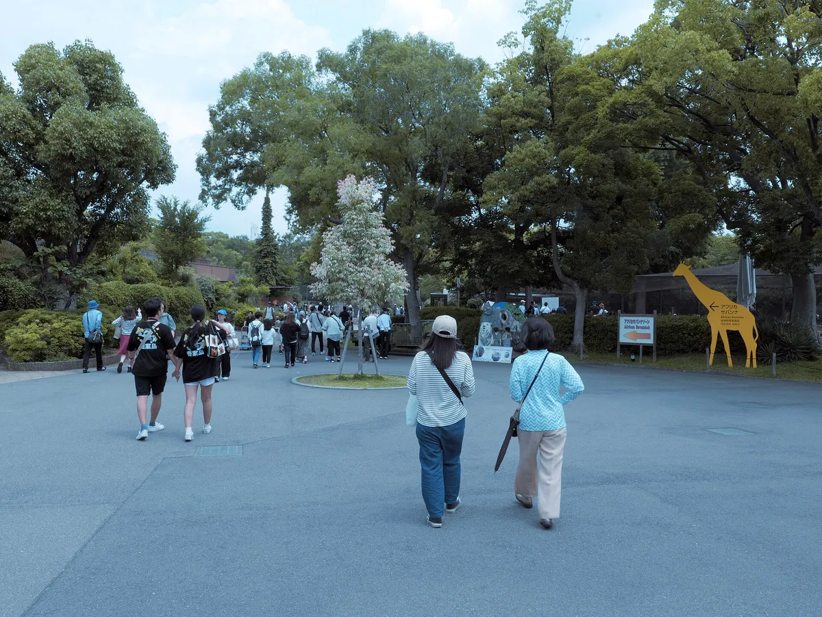 Tennoji Zoological Gardens (Osaka Zoo)