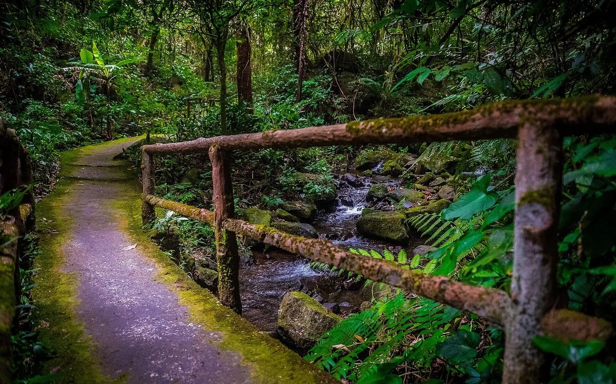 Taman Safari Indonesia