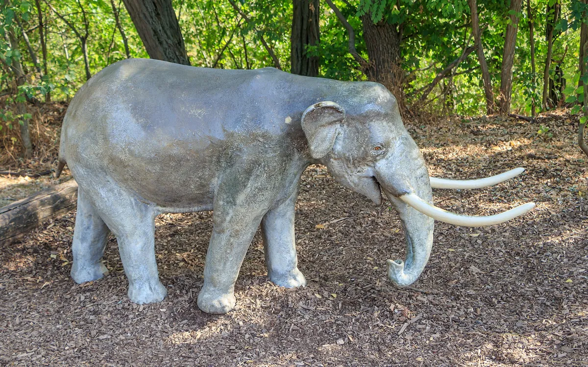 Thüringer Zoopark Erfurt