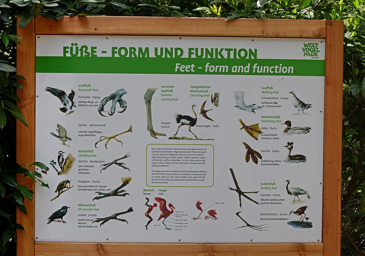 Walsrode World Bird Park