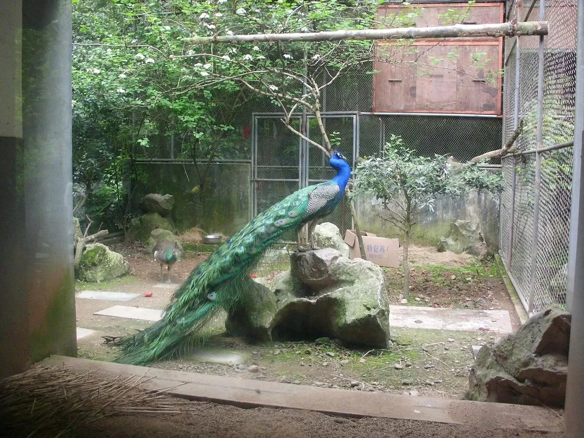 Hangzhou Zoo