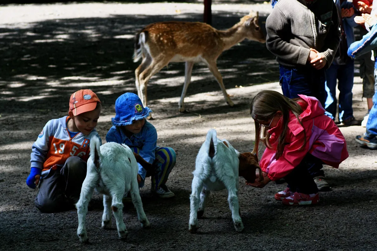 Tierpark Angermünde