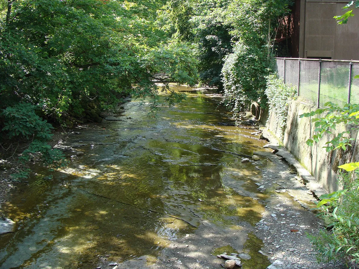 Erie Zoo