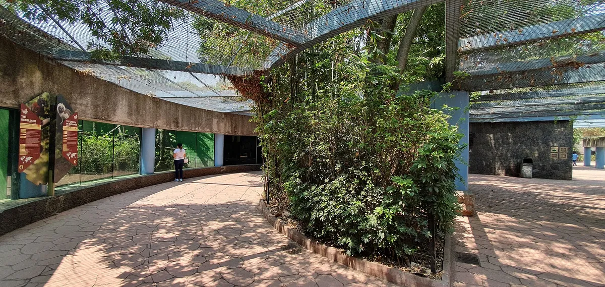 Zoologico de Chapultepec