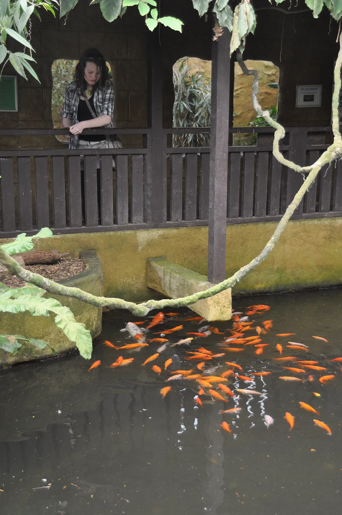 Amazon World Zoo Park