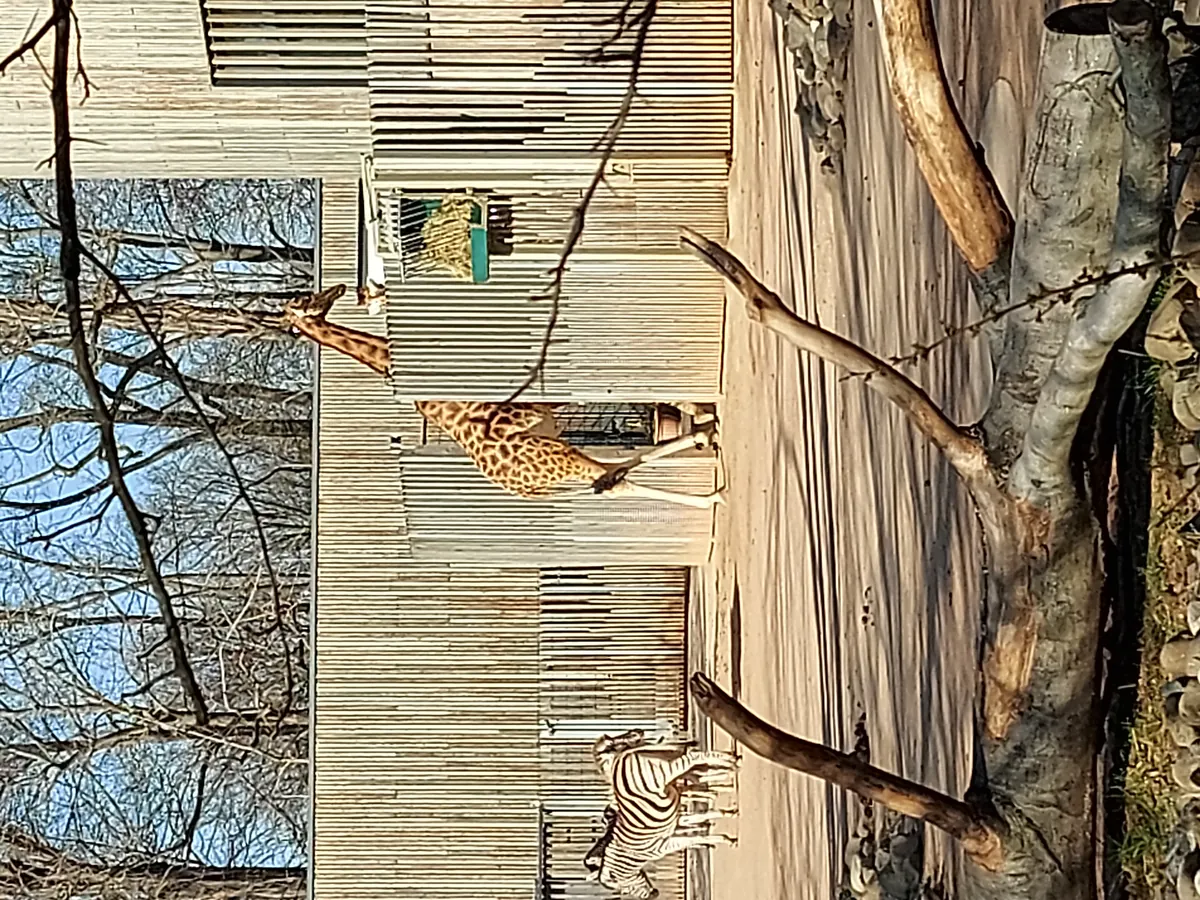 Zoo Dresden