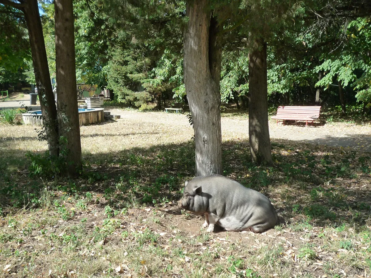Lovech Zoo